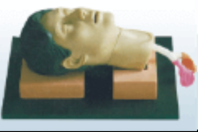 环甲膜穿刺和切开训练仿真模型